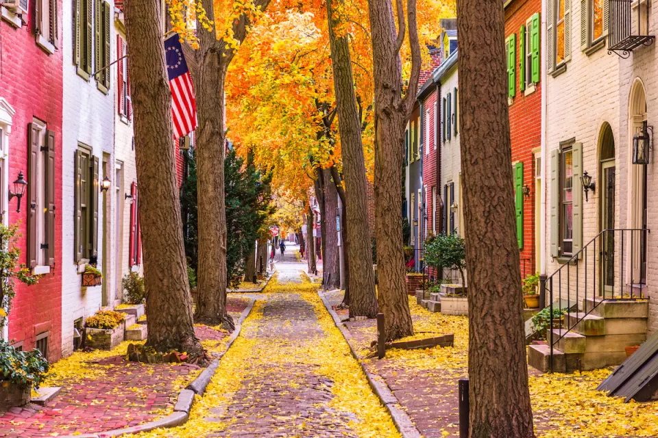 View of narrow alley on Philadelphia's Quince Street with fall leaves.